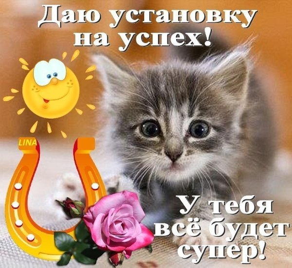Пожелания удачи в делах и работе