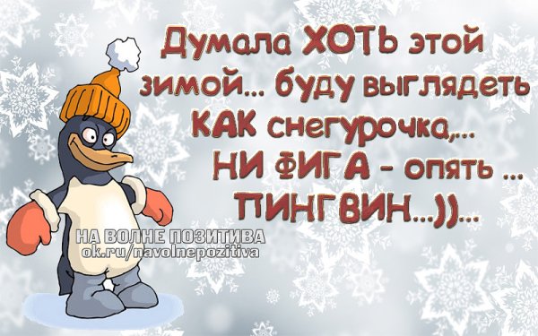 Статусы в картинках смешные позитивные