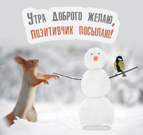 С добрым зимним утром прикольные