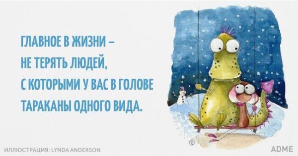 Забавные цитаты на каждый день