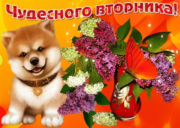 Хорошего вторника