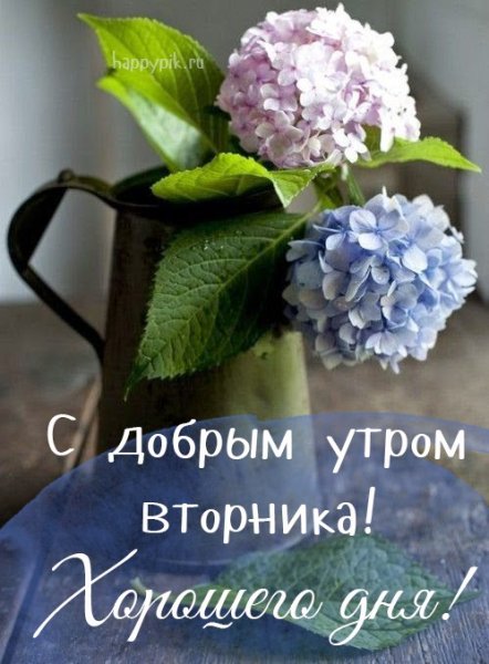 С добрым утром вторн ка