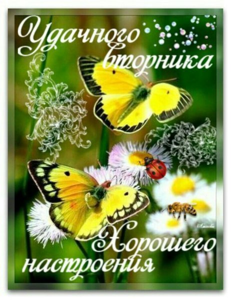 Открытки отличного вторника