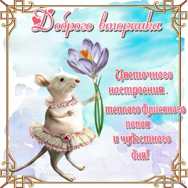 Поздравления со вторником прикольные