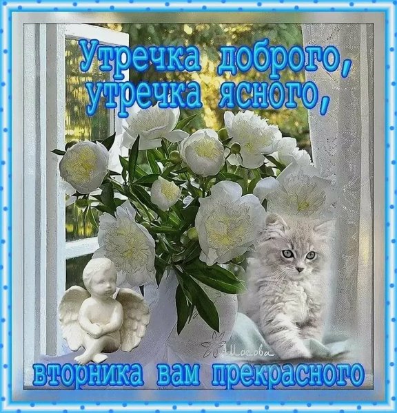 Пожелания с добрым утром вторника