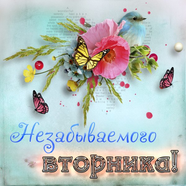 Стильные открытки добрый день