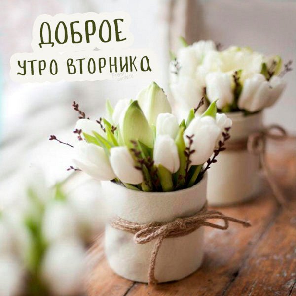 Доброе утро вторника Весна