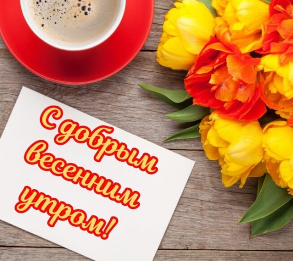 Доброго весеннего утра и отличного дня
