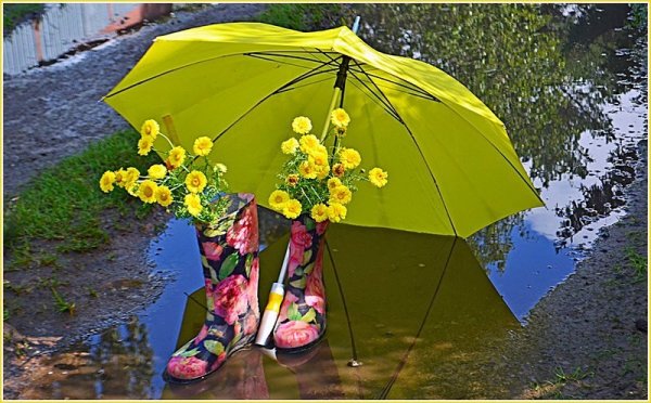 Зонтики на природе