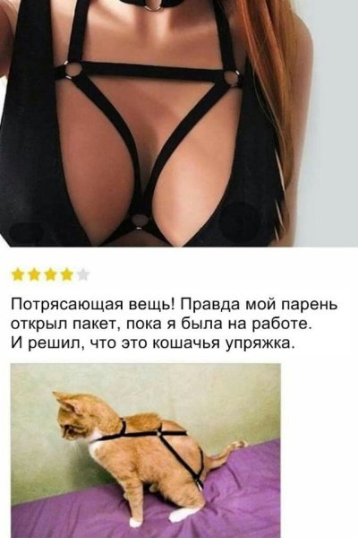 Весёлые картинки для поднятия настроения мужчине