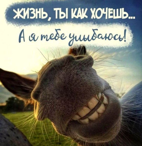 Улыбайтесь жизнь прекрасна