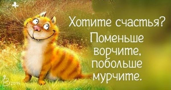 Легкость в мыслях