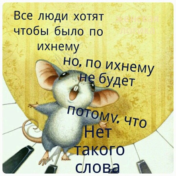 Смешные высказывания
