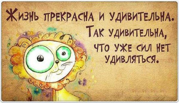 Позитивные статусы в картинках с надписями
