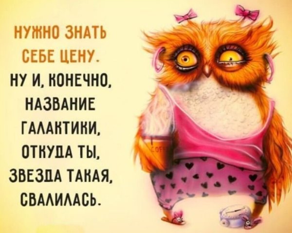 Веселые цитаты
