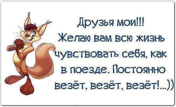 Смешные высказывания на каждый день