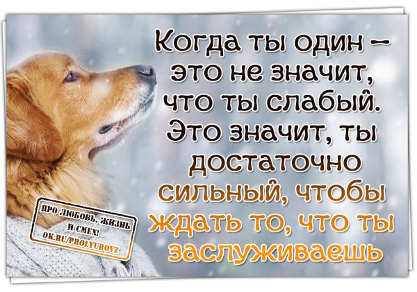 Позитивные высказывания