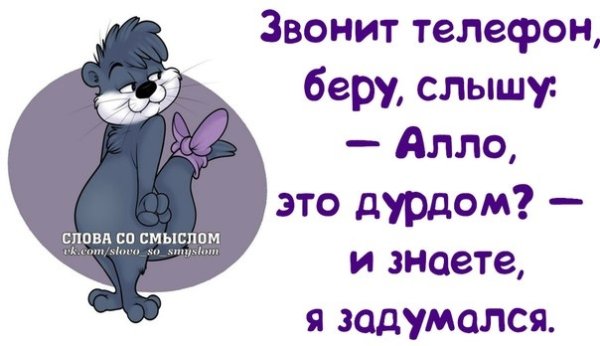 Юмористические фразы для поднятия настроения