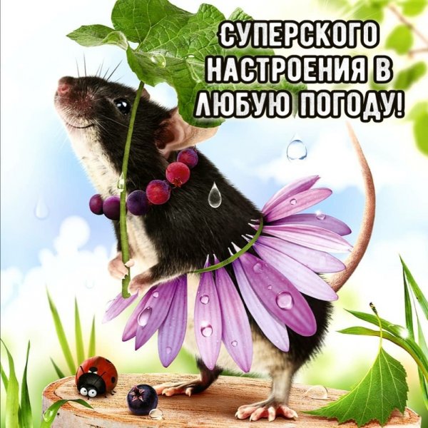 Суперское настроение