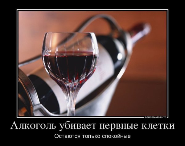 Демотиваторы про вино
