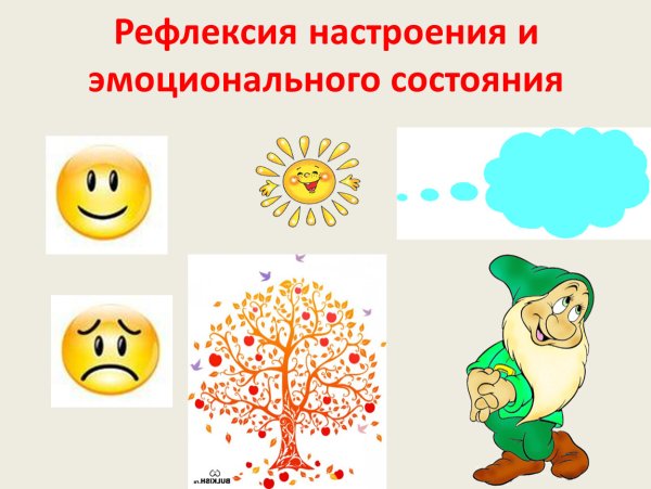 Рефлексия Поляна цветов
