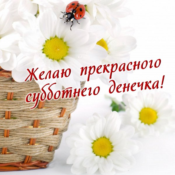С добры м суббоьним утрои