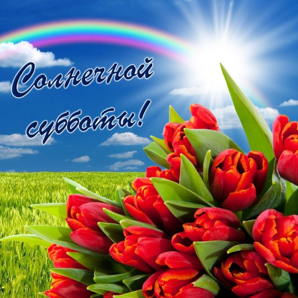 Открытки с субботой