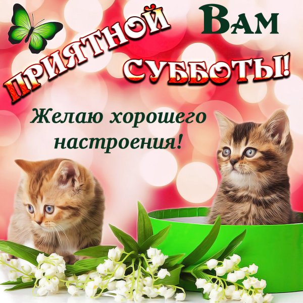 Поздравление с субботой