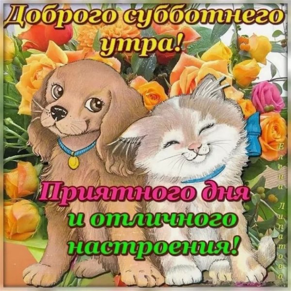 Хорошей субботы и отличного настроения