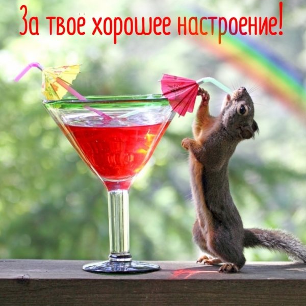 Позитивные картинки