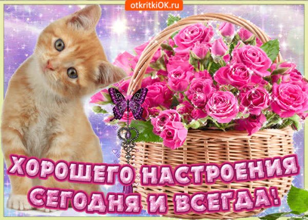 Просто так для хорошего настроения
