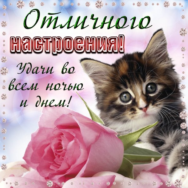 Пожелания доброго дня