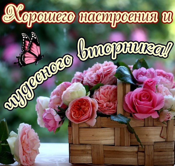 Чудесного дня и отличного настроения