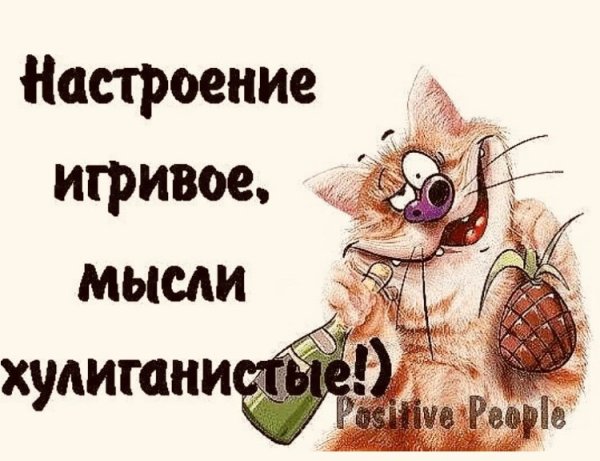У меня отличное настроение