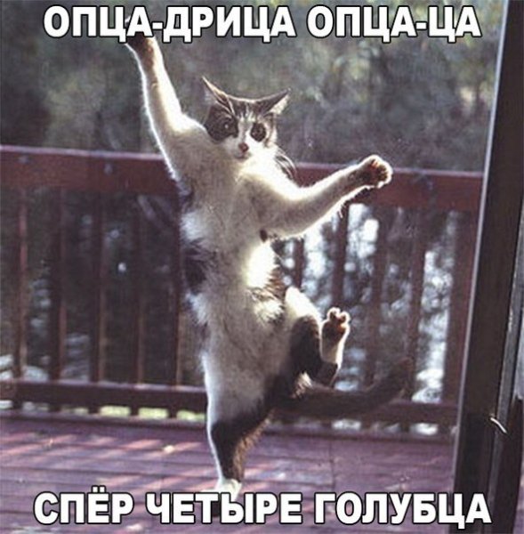 Опца дрица опца ца