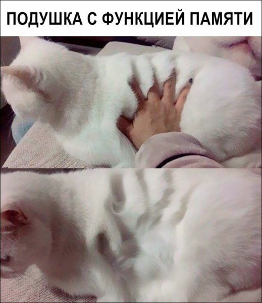 Смешные мемасики для поднятия настроения