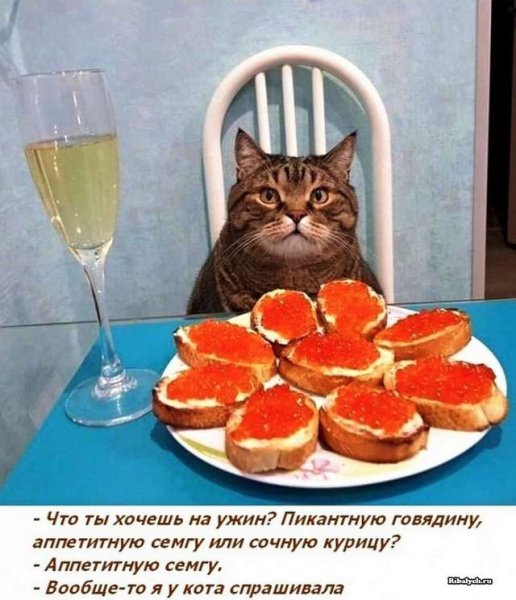 Картинки для поднятия настроения