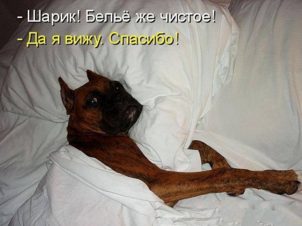 Фото для настроения прикольные с надписями