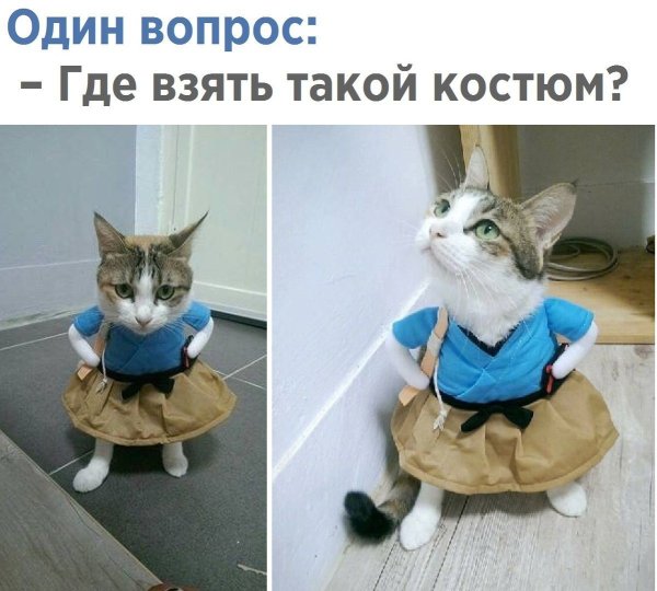 Никогда не жалей что сделал если в этот момент был счастлив