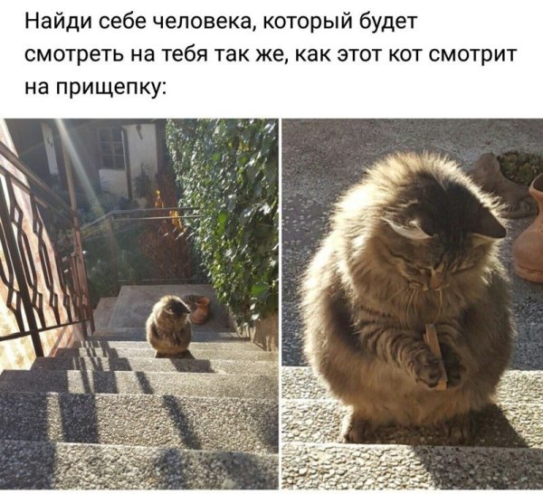 Открытки для поднятия настроения девушке