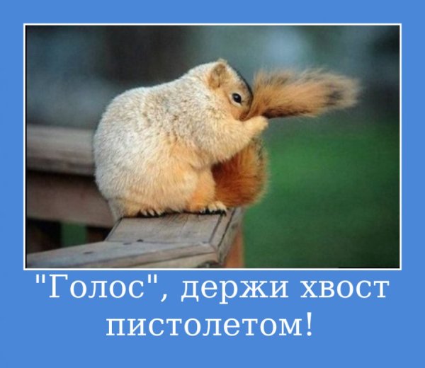Прикольные для поднятия настроения