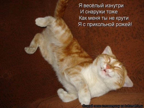 Что-нибудь веселое для поднятия настроения картинки