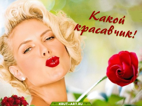 Какой красавчик