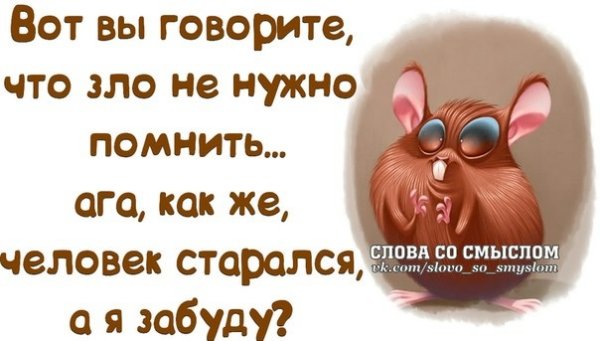 Смешные высказывания про плохое настроение