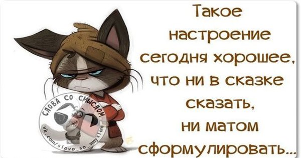 Настроение цитаты прикольные