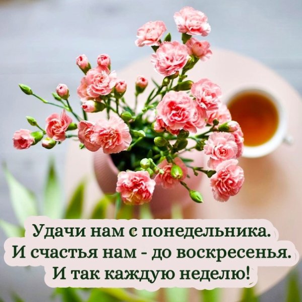 Счастья нам с понедельника