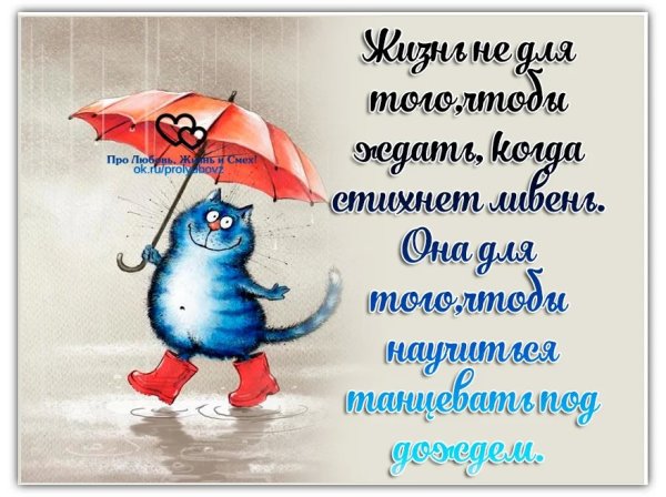 Хорошего настроения в дождливую погоду