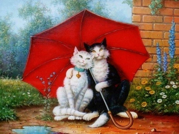 Котик под зонтиком