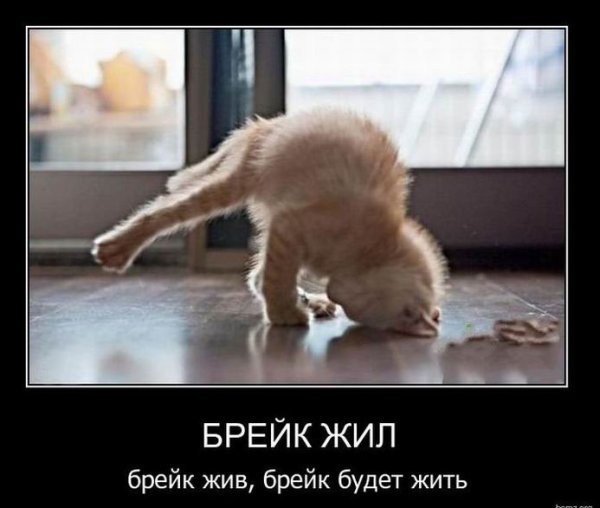 Позитивные мотиваторы для поднятия настроения