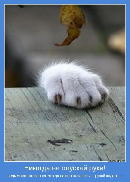 Позитивные мотиваторы настроение